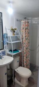 a bathroom with a toilet and a shower curtain at Habitacion Donde Emita in Santiago