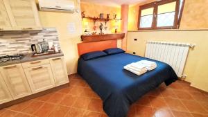 A kitchen or kitchenette at Alloggio Gladiolo