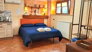 A kitchen or kitchenette at Alloggio Gladiolo