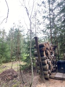Mynd úr myndasafni af Karula Stay lakeside Camper, Treetent & SUPs included - all area only for you! í Ähijärve