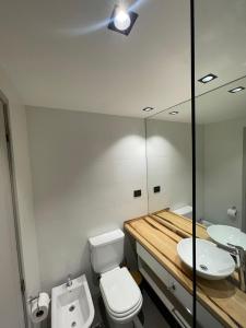 a bathroom with a toilet and a sink and a mirror at Faz Flat in Córdoba +67 photos