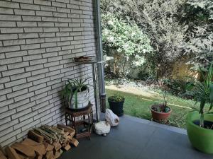 Zahrada ubytování Ferienwohnung am Brasselsberg
