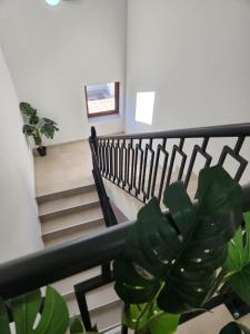 Foto dalla galleria di New Lux a Čačak