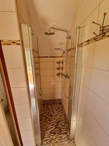 a bathroom with a shower with a walk in shower at Apartment Schlossblick in Loosdorf +7 photos
