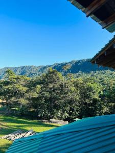 a view of a hill with trees in the distance at Stellar Cottage W Amazing Views On Hummingbird Hwy in Alta Vista