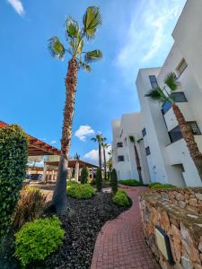 a palm tree in front of a building at Las Colinas golf resort apartman in Orihuela