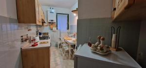 Una cocina o cocineta en Rifugio dei Pini