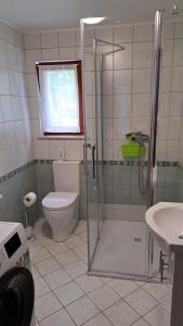 Un baño con ducha, inodoro y lavabo. en Apartma Emilio, en Breginj