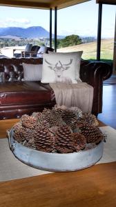 a tray of pine cones on a table in front of a couch at Drom Aluinn B & B in Acheron