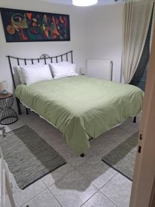 FaraíAvras experiense 6的卧室里有一张床，床上铺着一条绿色的毯子