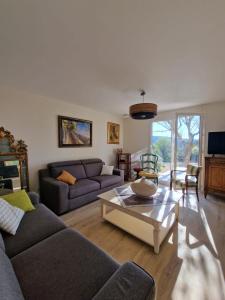 TV a/nebo společenská místnost v ubytování L'Oustalet des Vignes