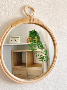 uno specchio appeso a un muro con una pianta di Aurénoë à Carnac Plage a Carnac Altre 10 foto