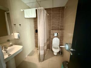 a bathroom with a toilet and a sink at Villa Eleni Apartments Skopje in Skopje