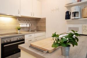 a kitchen with white cabinets and a potted plant at Waldstraße 4 Waldkoje in Kellenhusen