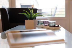 a table with a potted plant and glasses on it at Waldstraße 4 Waldkoje in Kellenhusen