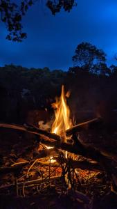 a fire burns in a field at night at Barangata collections in Barangata