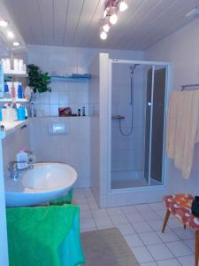 a bathroom with a shower and a sink at Scheel II in Schlagsdorf