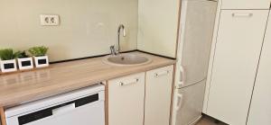 Кухня або міні-кухня у Apartment Gold & Gray