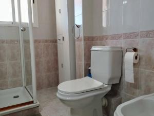 a bathroom with a toilet and a shower and a sink at Apartment Marbella Centro in Marbella
