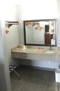 Koupelna v ubytování Econo Lodge Franklin South