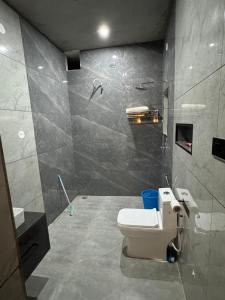a bathroom with a toilet and a shower at Comfort stay in Beās +5 photos