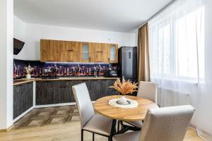 Køkken eller tekøkken på Lipovina Anres Apartment