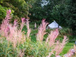 Zahrada ubytování Mereääre Glamping ja Rannamaja