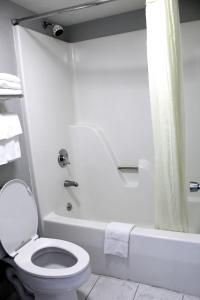 Koupelna v ubytování Econo Lodge Franklin South