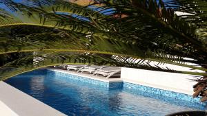 a swimming pool with lounge chairs and a palm tree at Apartments Villa A - Heating Pool in Trogir