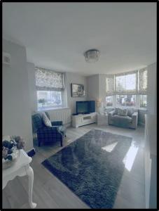 a living room with a blue rug and a tv at Coastal Cwtch in Moffat