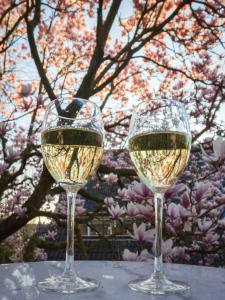 two glasses of white wine sitting on a table at Huize De Kol in Holten