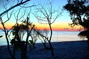 Galeriebild der Unterkunft Motorhome Holbox frente al mar y bioluminiscencia in Holbox + 10 Fotos