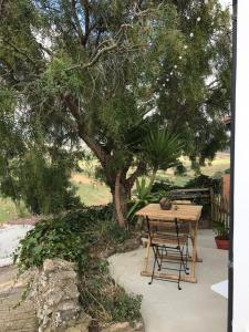 Κήπος έξω από το Casa Pimenta - Old Town Charm & Castle View +37 φωτογραφίες