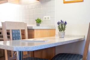 Kuchyň nebo kuchyňský kout v ubytování Sonnenpark- Wohnung 5