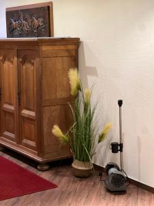 Zimmer mit Holzschrank und Topfpflanze in der Unterkunft Ihr Ferien Hotel Brunnenhof in Suhlendorf