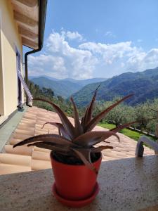 A general mountain view or a mountain view taken from a panziókat