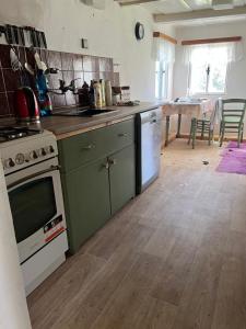 a kitchen with green cabinets and a white stove top oven at Chalupa v Cíšařským in Golčŭv Jeníkov