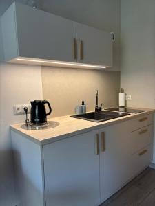 Η κουζίνα ή μικρή κουζίνα στο Kozia Chata