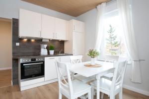 Kuchyň nebo kuchyňský kout v ubytování Seestraße 30a Im Kornspeicher + 11 fotografií