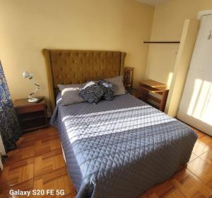 a bedroom with a large bed with pillows on it at Hostal Donde Gabriel in Chillán