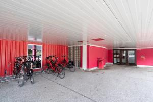 Jízda na kole v ubytování Berolina Nest am Meer 409 nebo okolí