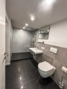 a bathroom with a toilet and a sink at Geschäfts- und Monteurs Apartment 2 SZ in Königswinter