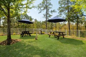 O grădină în afara Holiday Inn Express & Suites Aiken by IHG