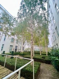 a tree in a park next to a building at Luxury studio with super fast WiFi gated development in London