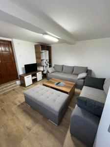 Ảnh trong thư viện ảnh của Vikendica Bellini 3 ở Soko Banja +6 ảnh