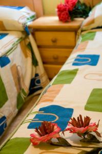 Foto dalla galleria di Pensión Aries II a Cuenca