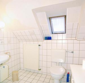 a bathroom with a toilet and a sink at An der alten Pappel Nr 2 in Albertsdorf