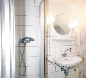 a bathroom with a shower with a sink and a mirror at An der alten Pappel Nr 2 in Albertsdorf