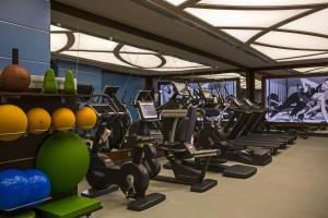 Fitness centrum a/nebo fitness zařízení v ubytování Renaissance Izmir Hotel