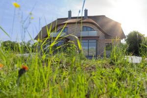 a house with a thatched roof in the grass at Ferienhaus De Bööi 9253 in Westermarkelsdorf